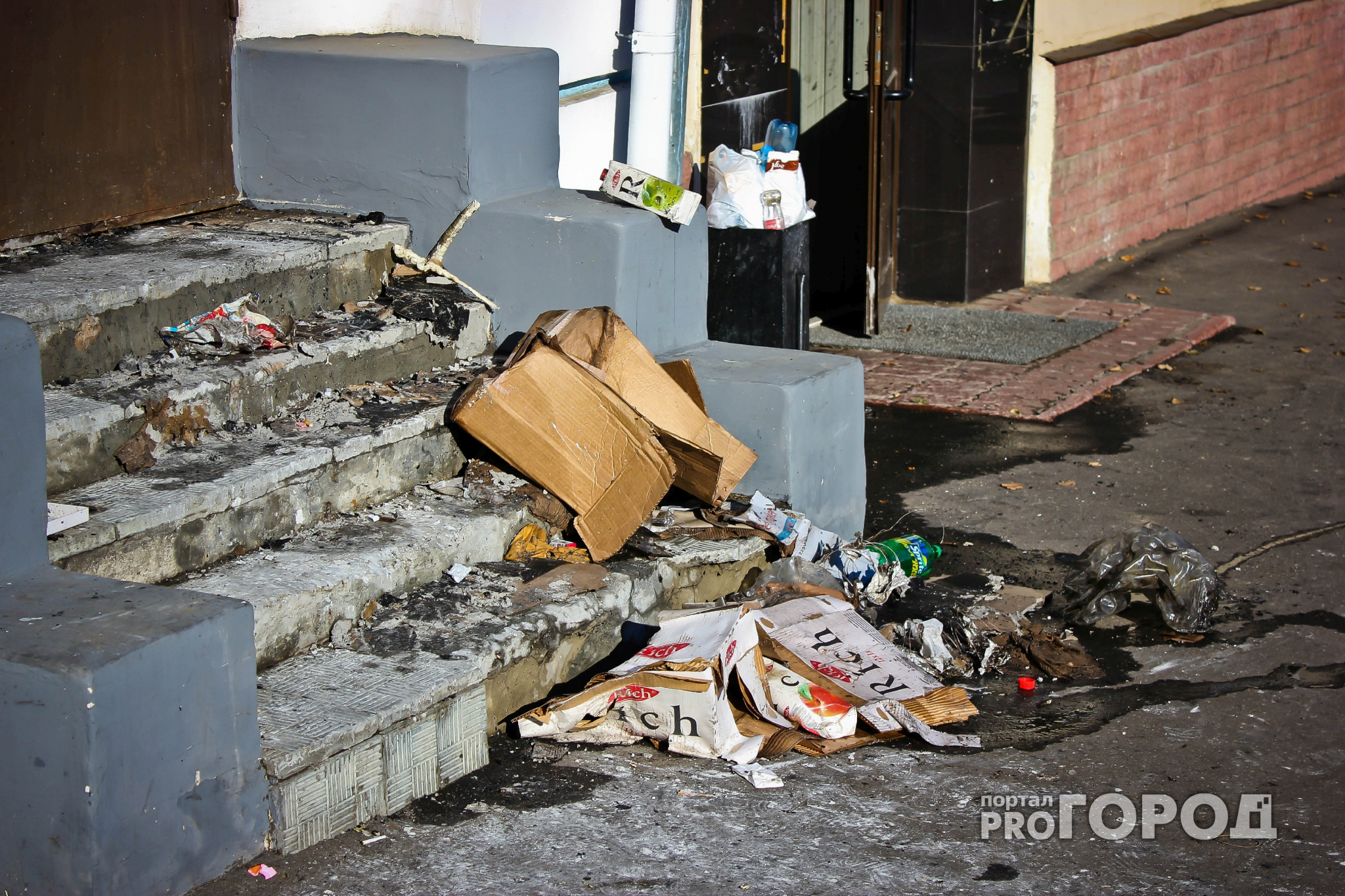 Куда ярославцы могут пожаловаться на грязные подъезды и мусорные свалки