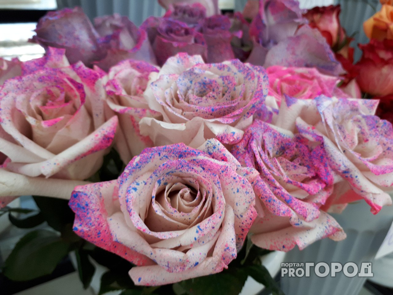 Цветы в День всех влюбленных: как ярославцам удивить и не обанкротиться?