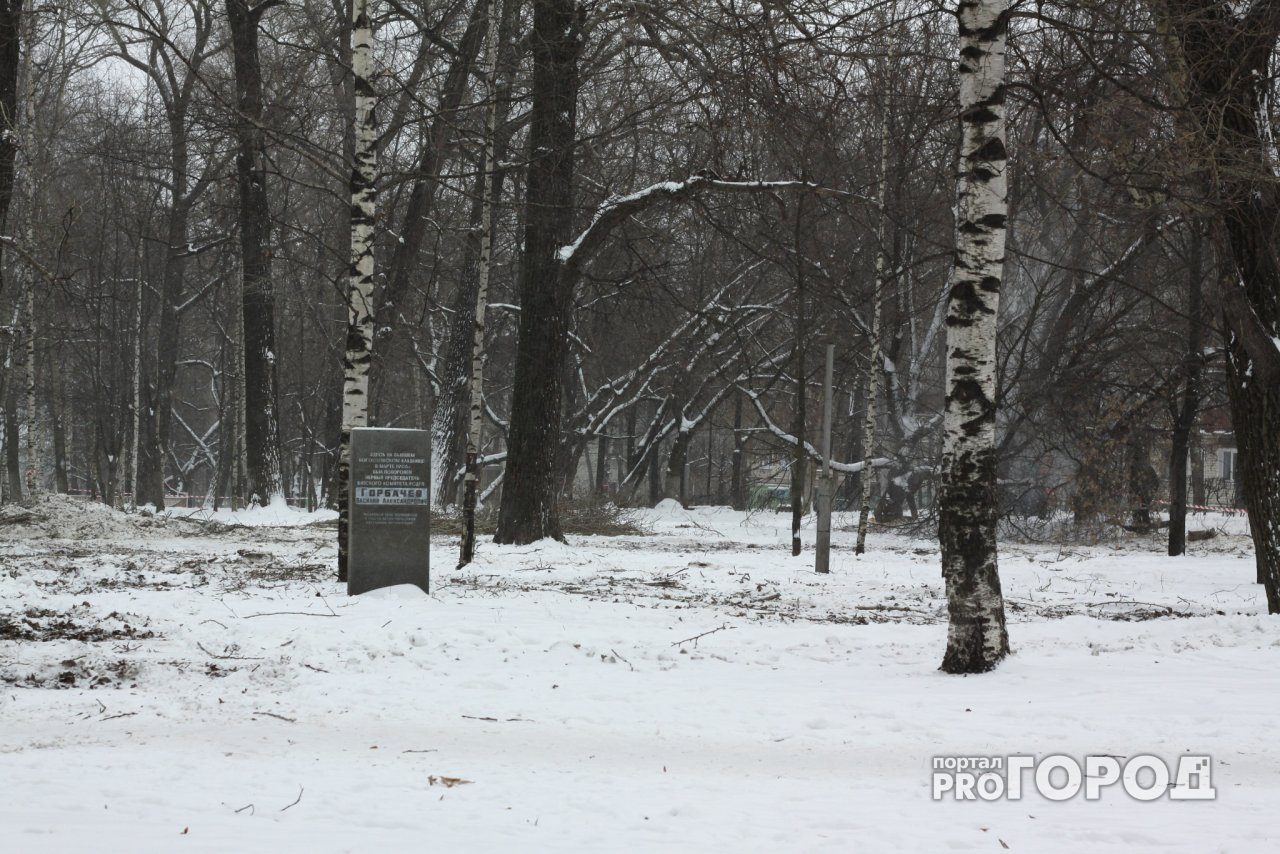 Власти предложили ярославцам посетить снежные барханы