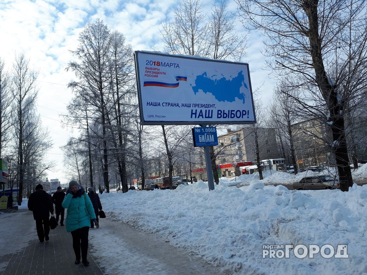В Ярославской области за фото с выборов подарят айфоны