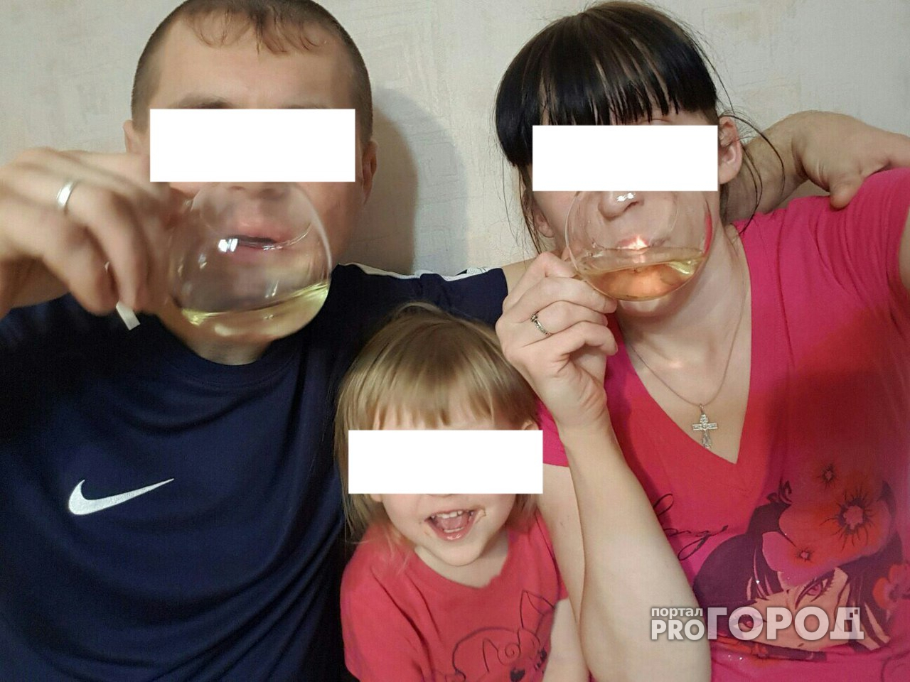 В Ярославле маленькую дочку вернули в порносемью