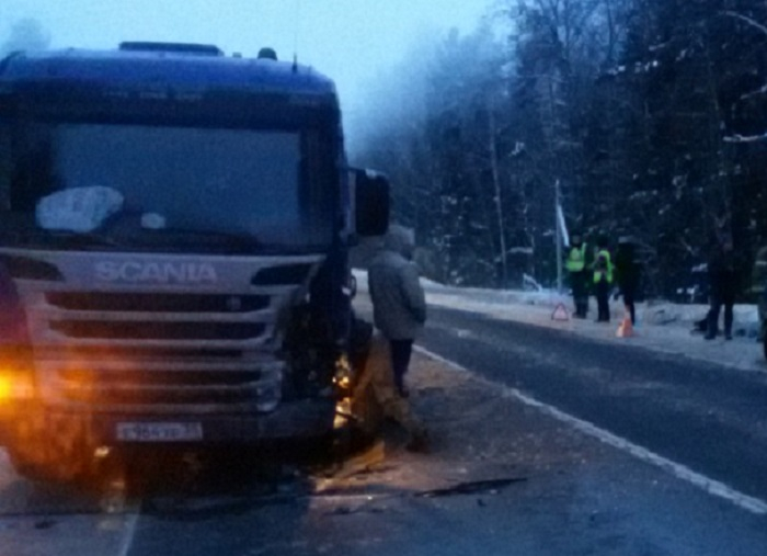 На трассе в Ярославской области грузовик раздавил пьяного пешехода