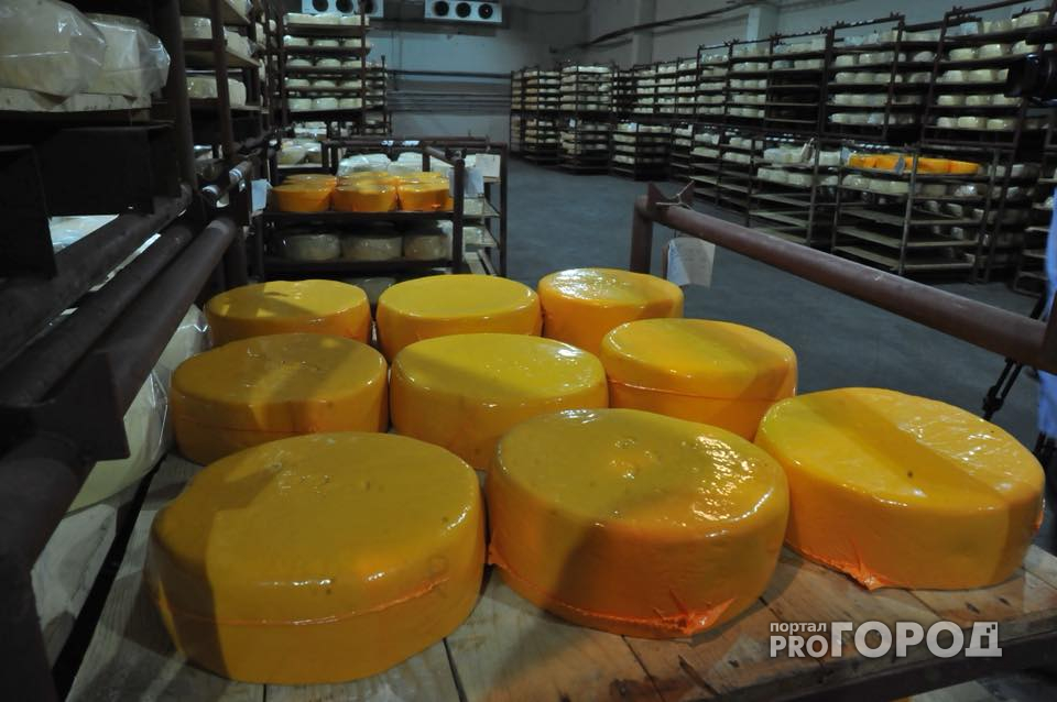 В Ярославской области создадут сырный кластер