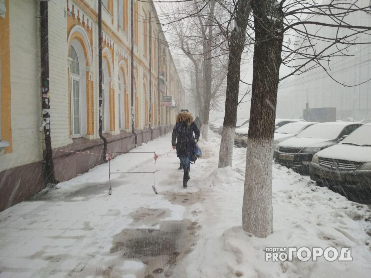 Ждём транспортный коллапс! Фото и видео мартовского снегопада в Ярославле