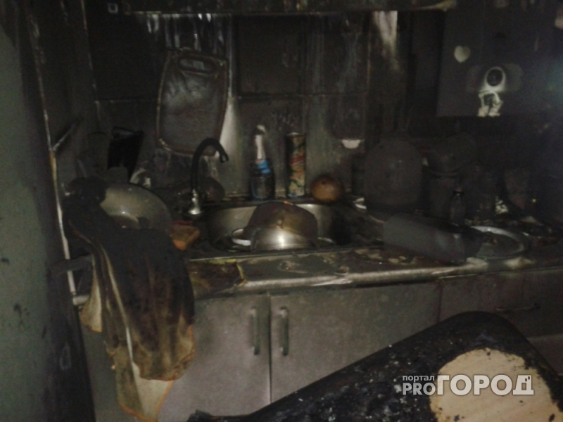 В Рыбинске на пожаре погибли животные: дома они были не одни