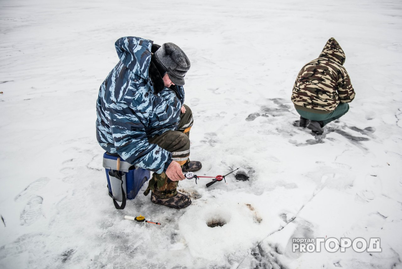 В Ярославской области у москвича украли 17 килограммов рыбы