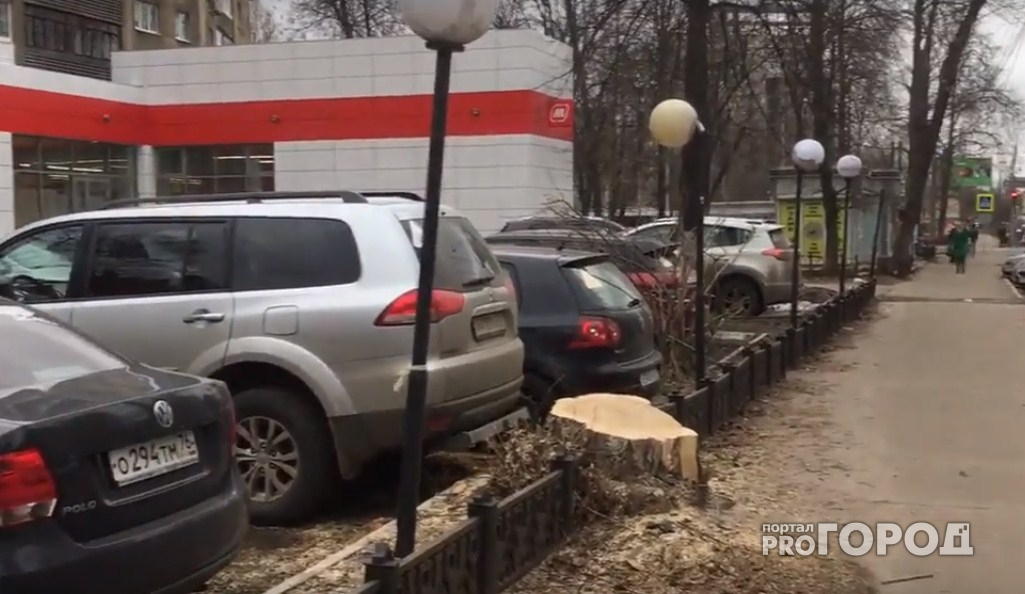 Опасная деревяшка: на проводах в центре Ярославля висит пень. Видео