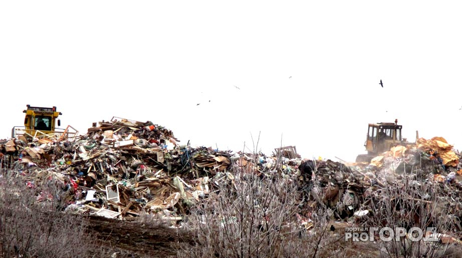 Битва мусорщиков: ярославцы против сына генпрокурора Чайки