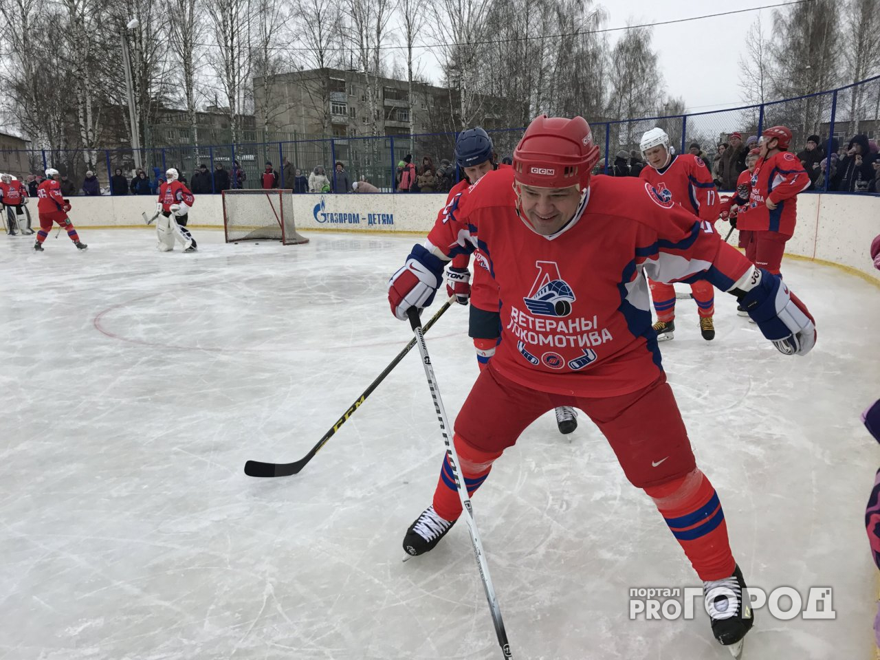 Ярославский хоккеист, избивший судью, собирается в облдуму