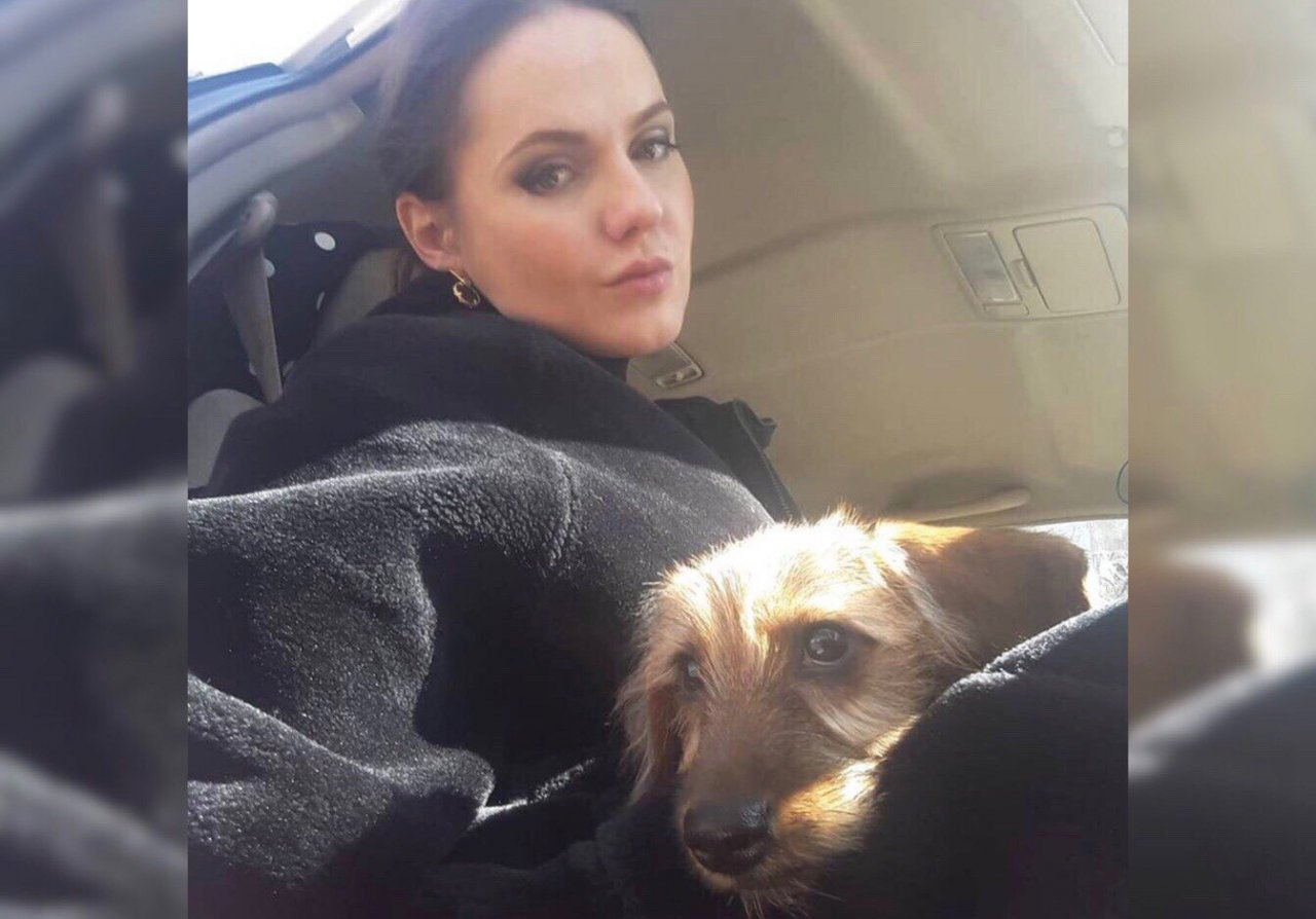 Известная ярославская телеведущая пристраивает щенка, который бросился под колеса её автомобиля