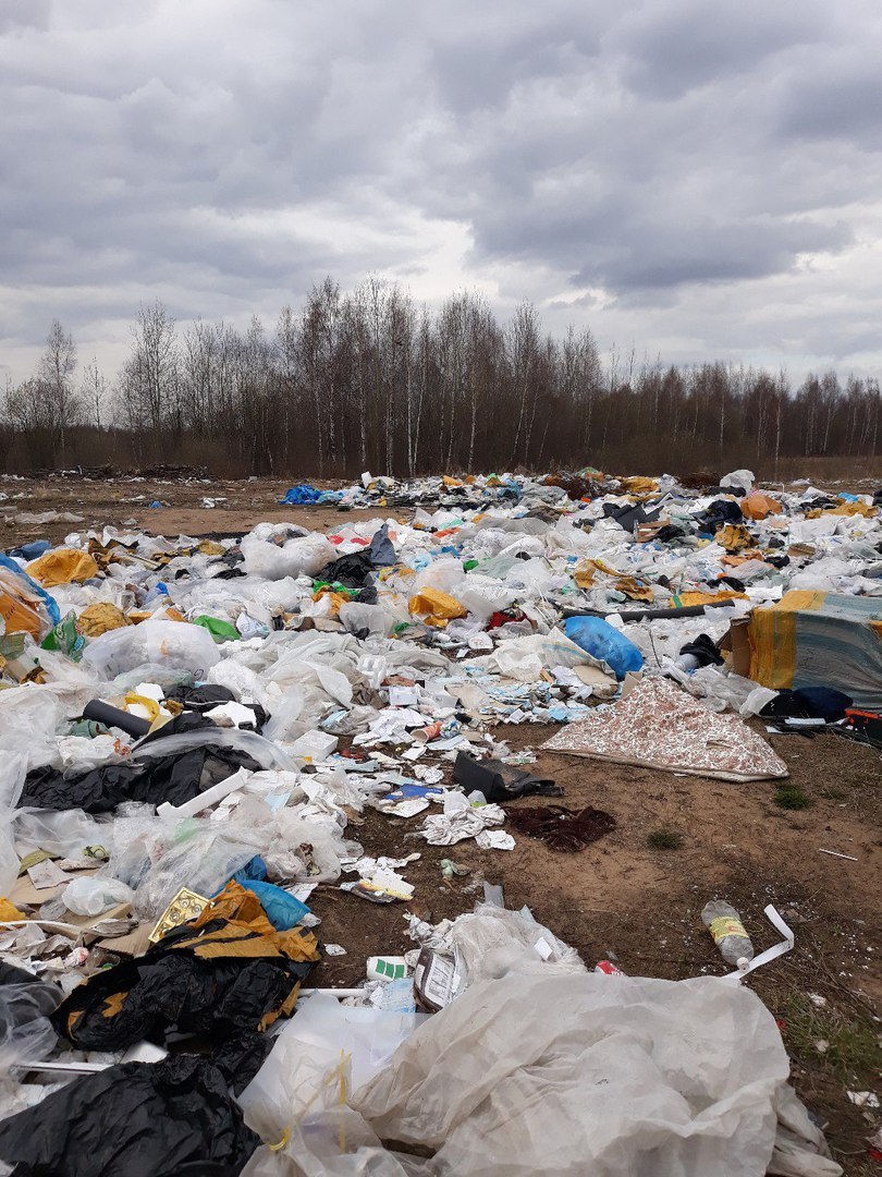 Опасное соседство: в Заволжском районе Ярославля на стихийную свалку свозят медицинские отходы