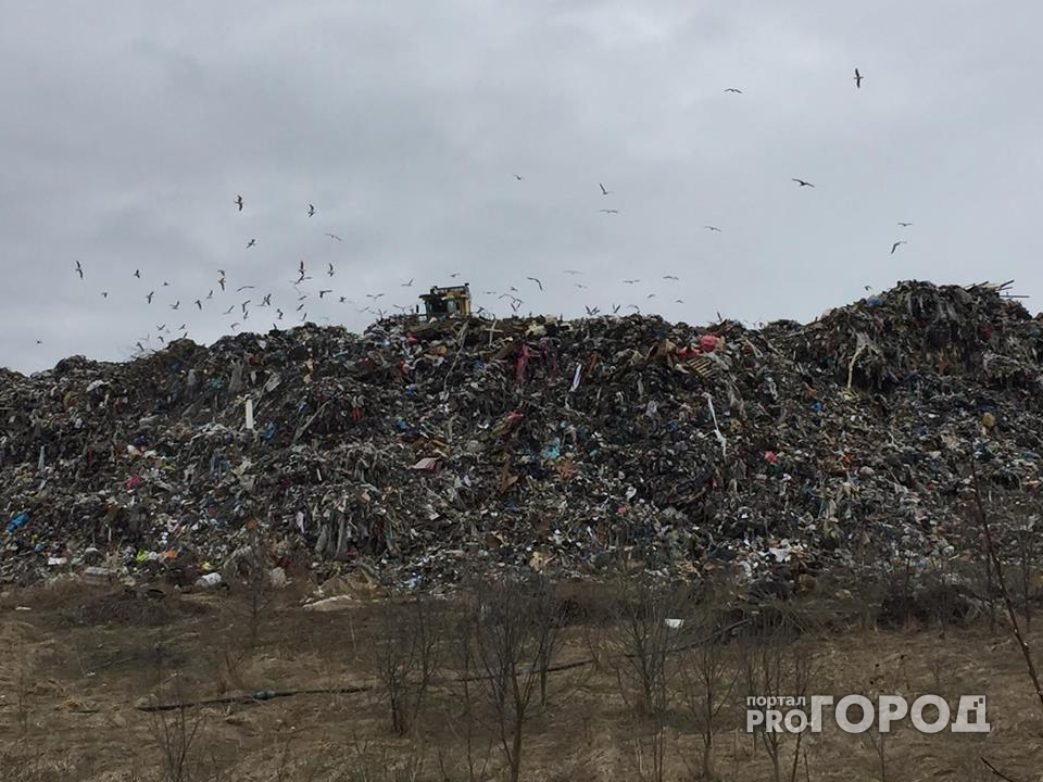Дежурившие у Скоково ярославцы: за день привезли около 660 тонн мусора!