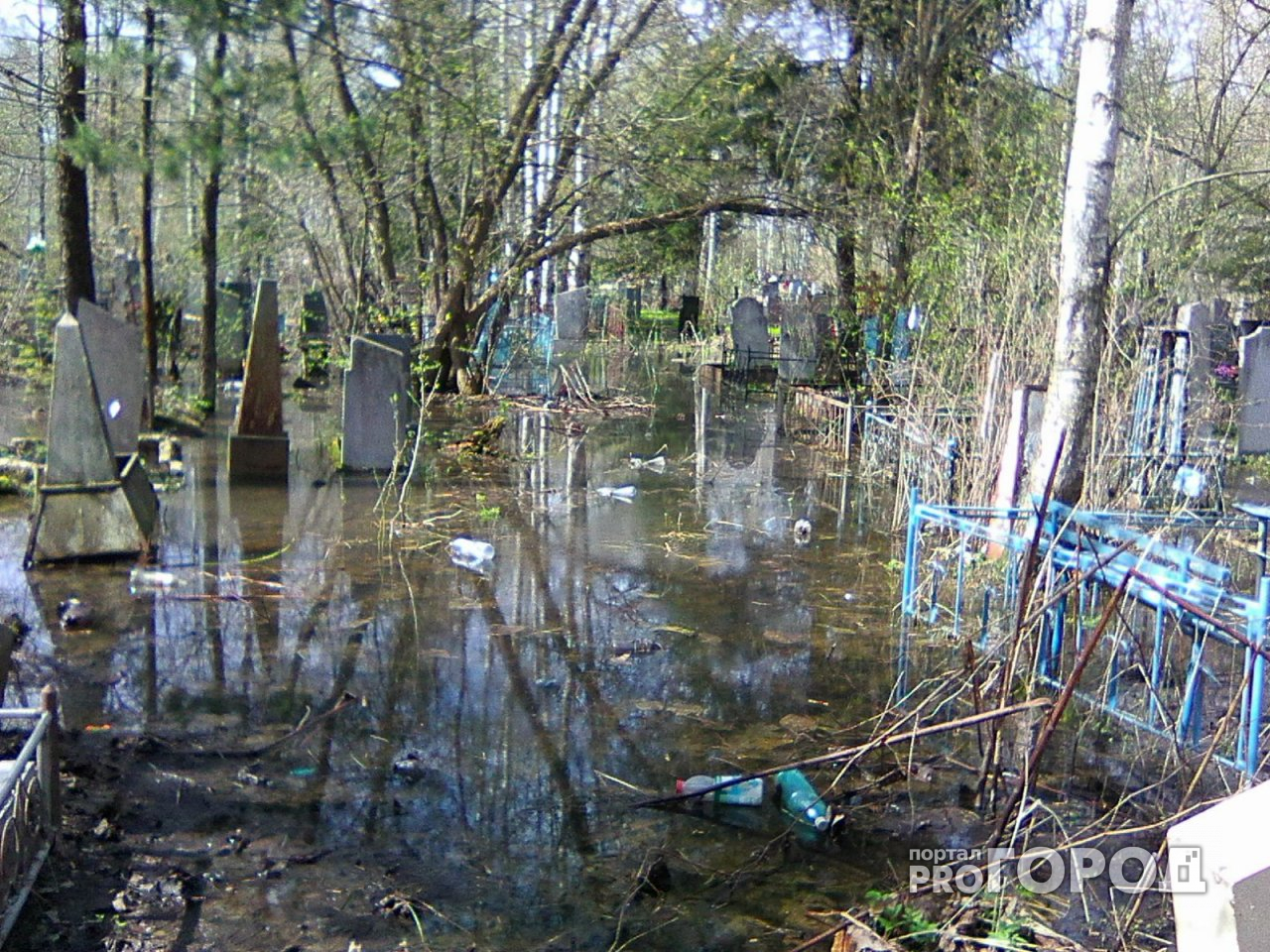 Вплавь до могил: В Ярославле ушли под воду два главных кладбища