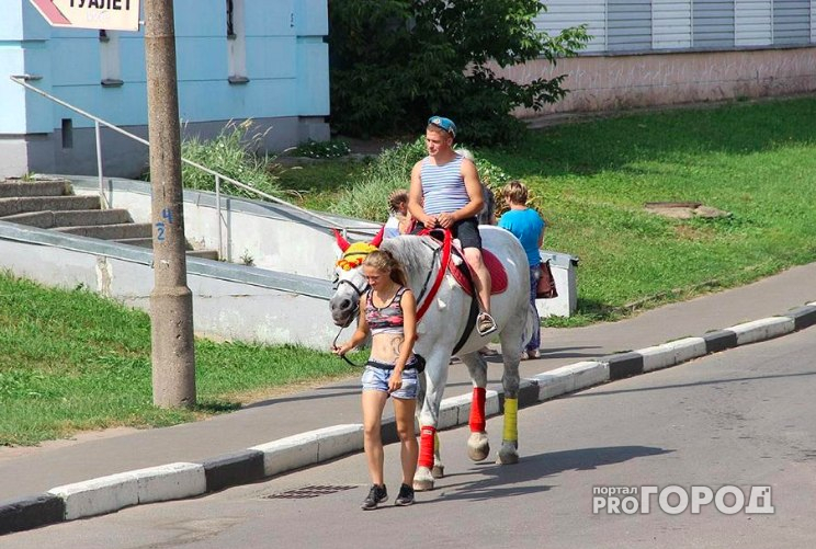 Навалили у входа в главный храм: Слепцов ввел санкции для лошадей Ярославля