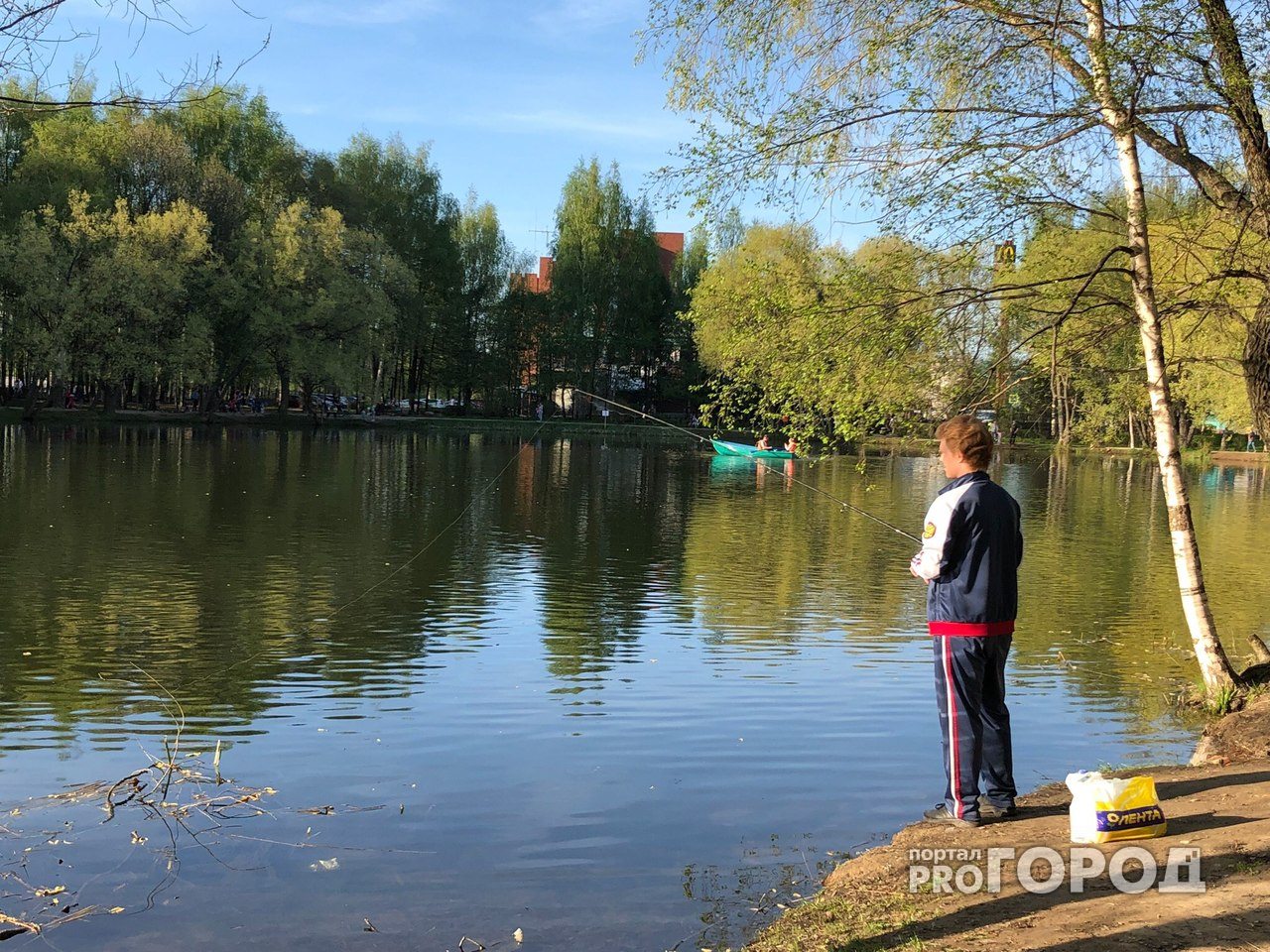 Под Ярославлем утонул подросток: трагедия глазами друга