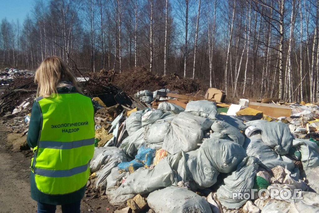 Ярославцам предлагают стать инспекторами по экологии: куда подавать заявление