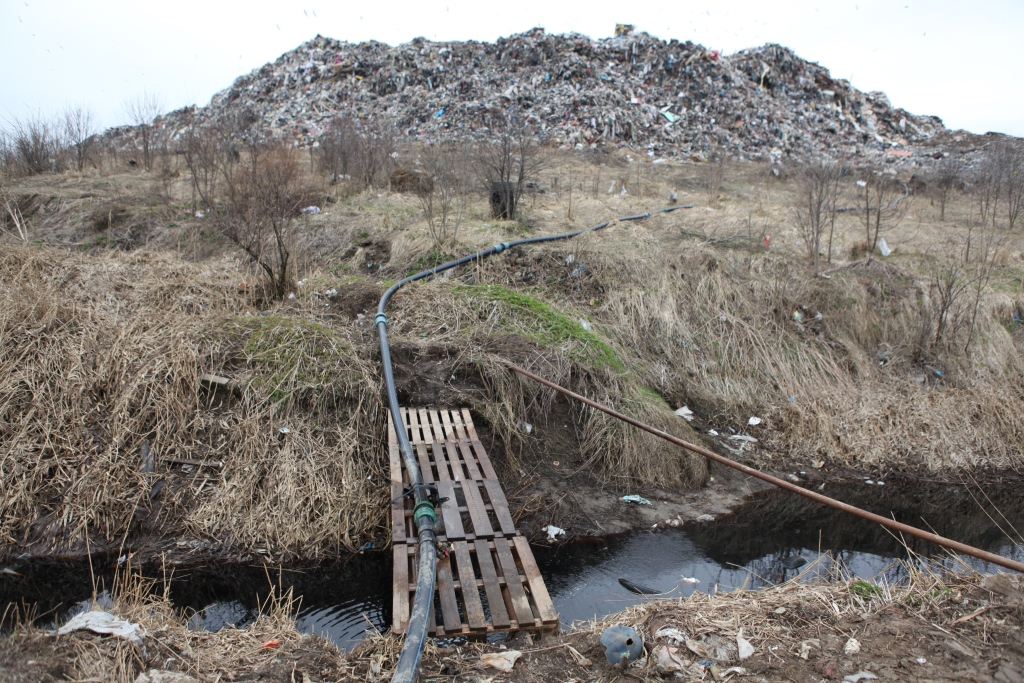Эксперты приняли сторону властей Ярославля по вопросу московского мусора в "Скоково"
