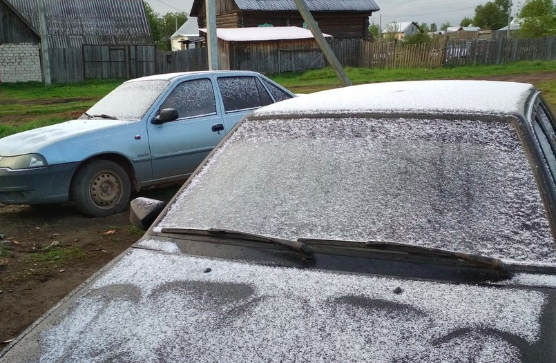 В первый день лета в Ярославской области выпал снег: фото
