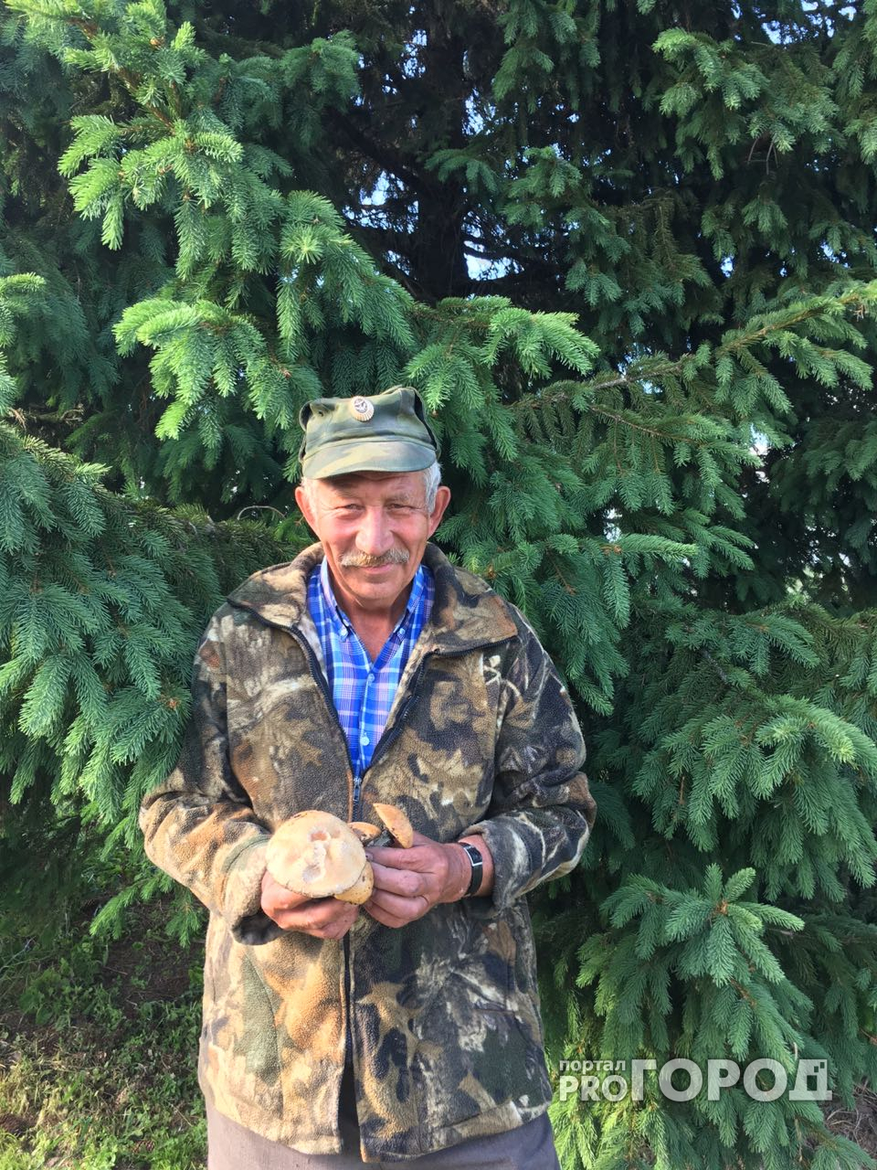Ярославцы делятся фотографиями первых грибов