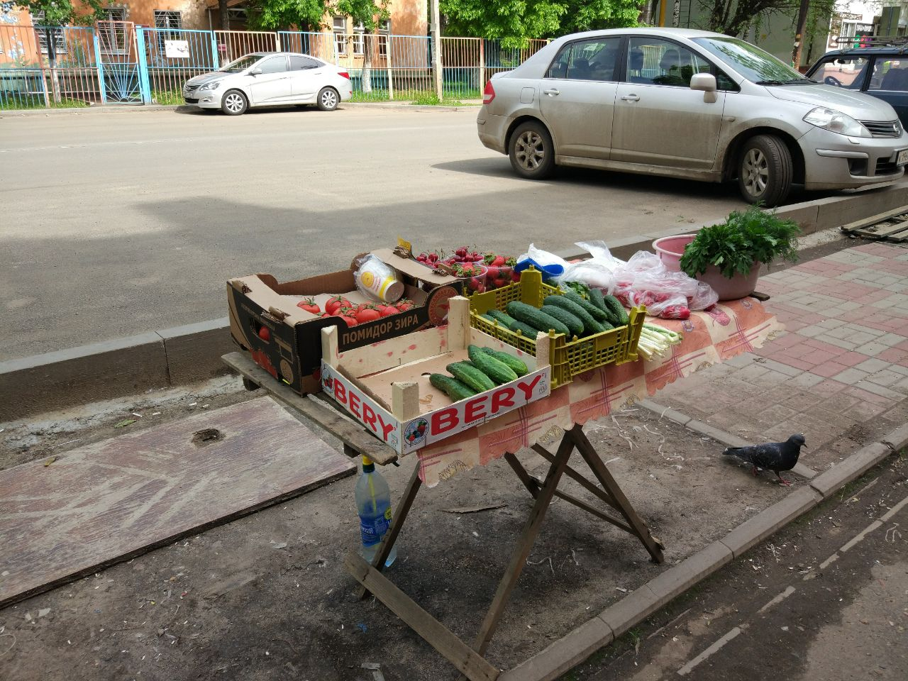 Ярославские чиновники прогнали бабушек с помидорами от продуктового магазина: фото