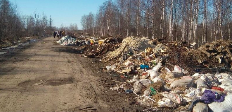 Более тысячи кубометров мусора выгребли с несанкционированных свалок Ярославля 