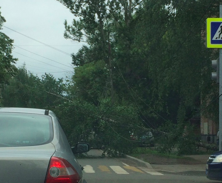 В центре Ярославля на дорогу рухнуло дерево и повредило провода