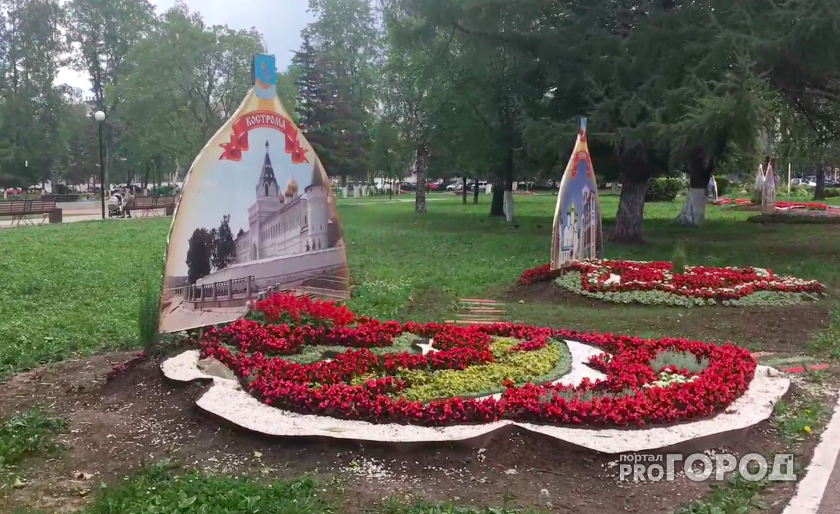 Ярославцы сравнили новые украшения в парке с надгробиями: видео