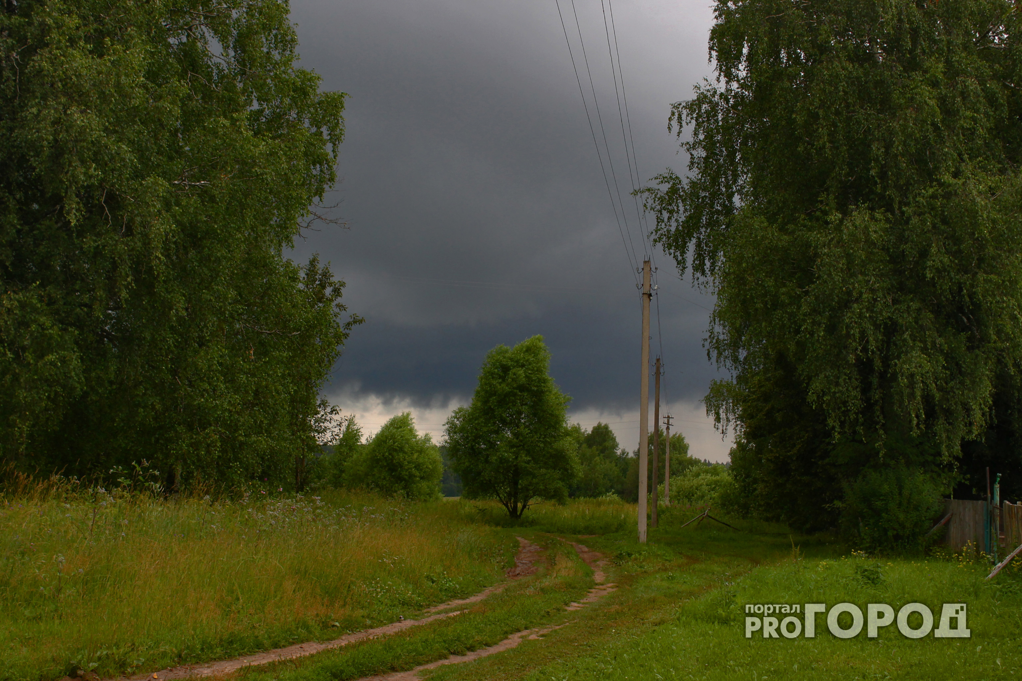 Экстренное предупреждение: на Ярославскую область надвигается сильная гроза