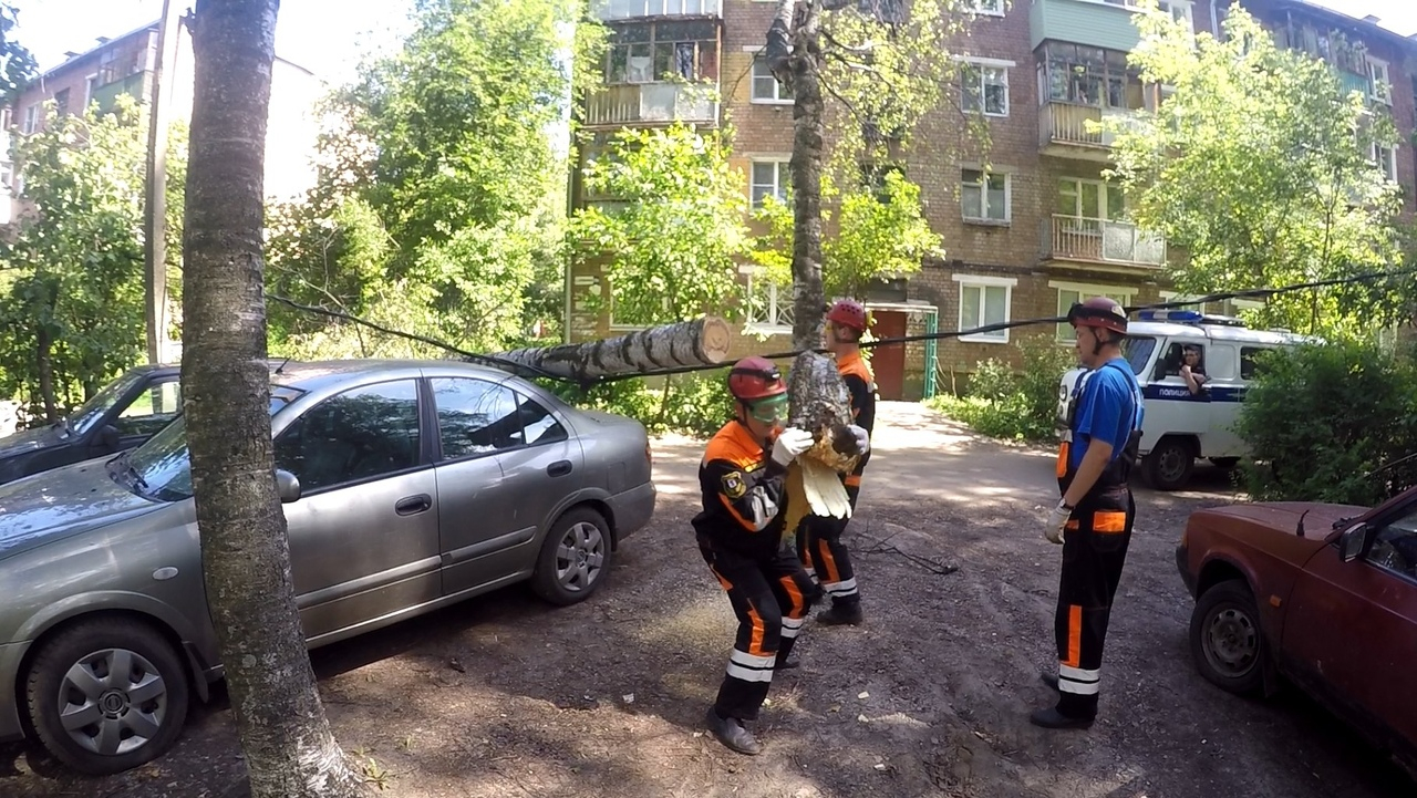 В Ярославле береза зацепила провода и разбила две машины: фото