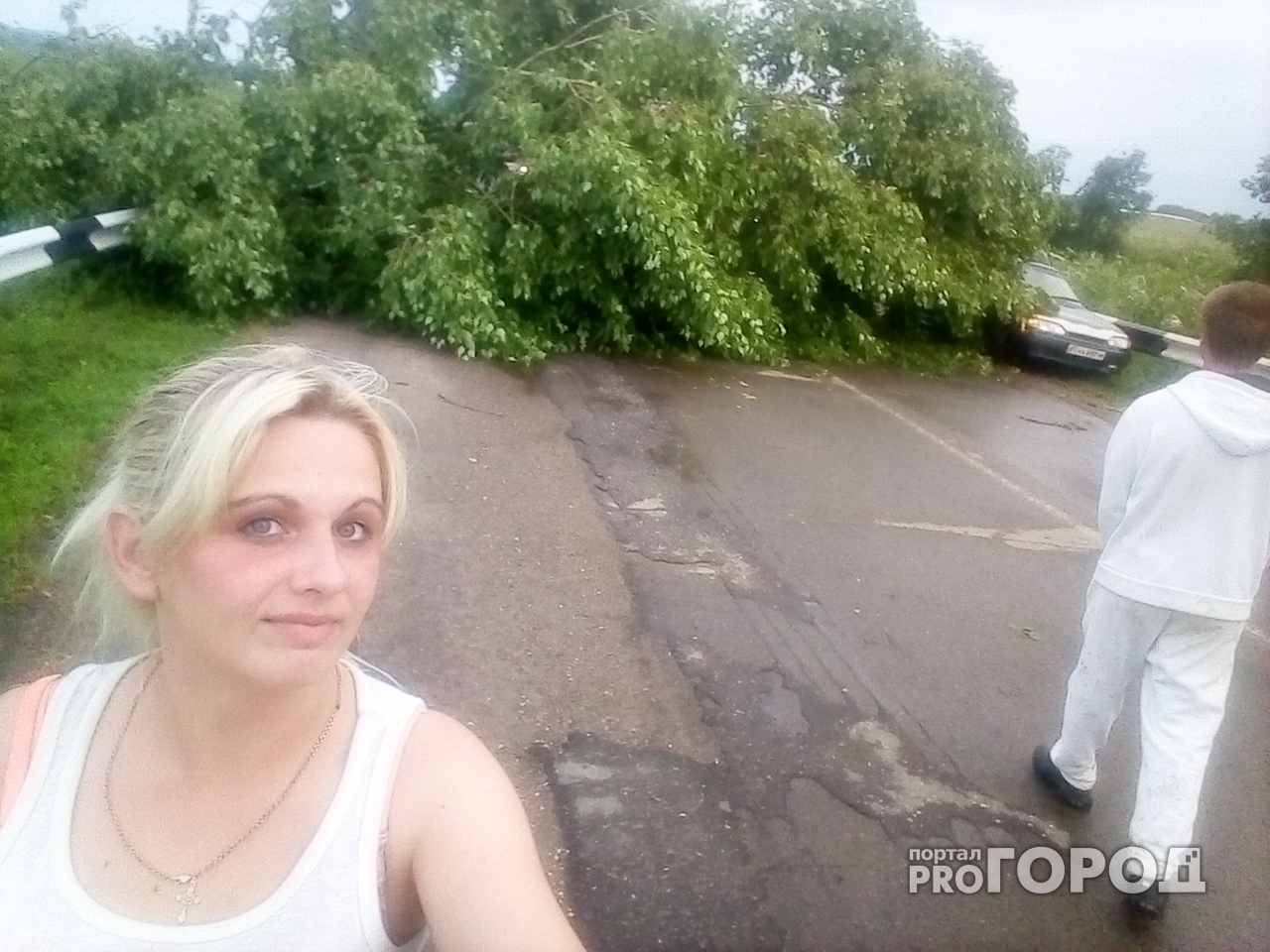 Поваленные деревья, машины и остановки: в Ярославской области ураган перекрыл трассу