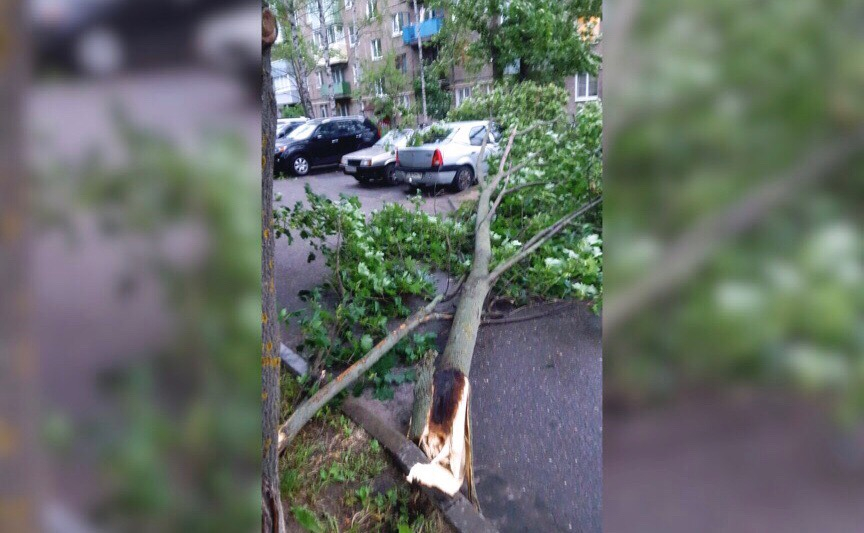 «Поджаренное дерево», обесточенный район и перекрытые трассы: по Ярославлю прошлась стихия