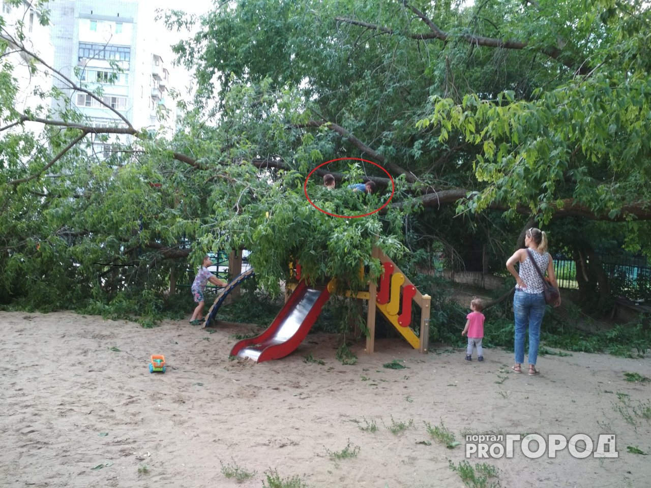 Стихия в Ярославле: огромное дерево рухнуло прямо на детский городок