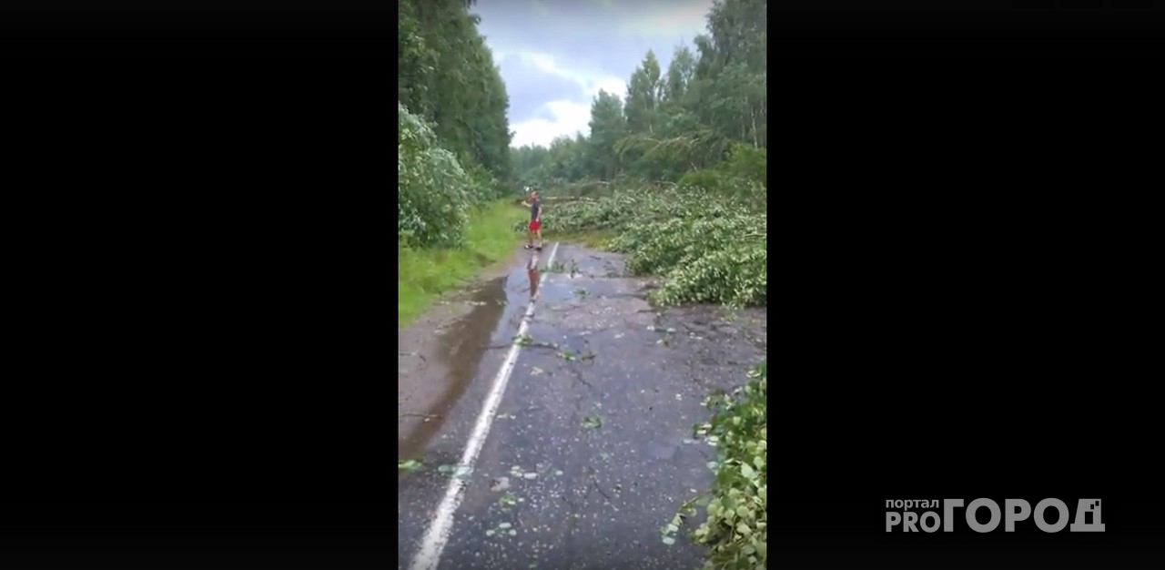 Проклятая дорога: под Ярославлем десятки деревьев рухнули на трассу. Видео