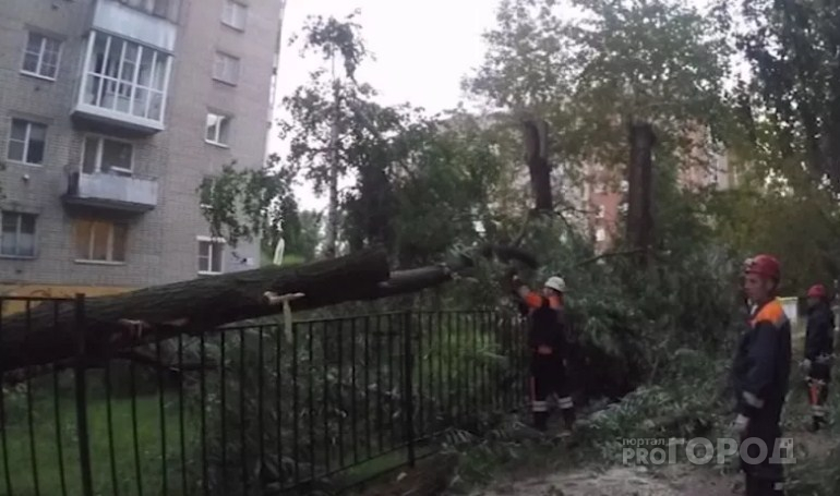 Разгул стихии: ветер завалил деревьями дороги Ярославля