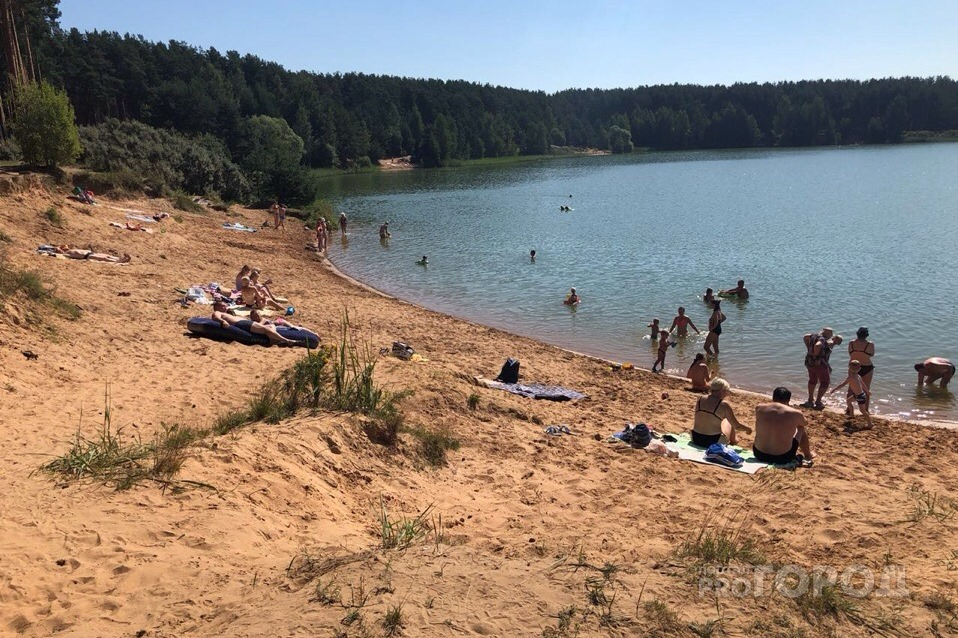 Ярославцев будут штрафовать за шашлыки: сколько придется заплатить