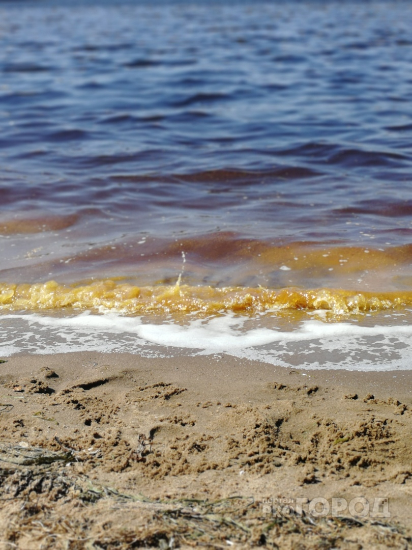 Пенится и воняет: ярославцы напуганы желтой водой в Волге