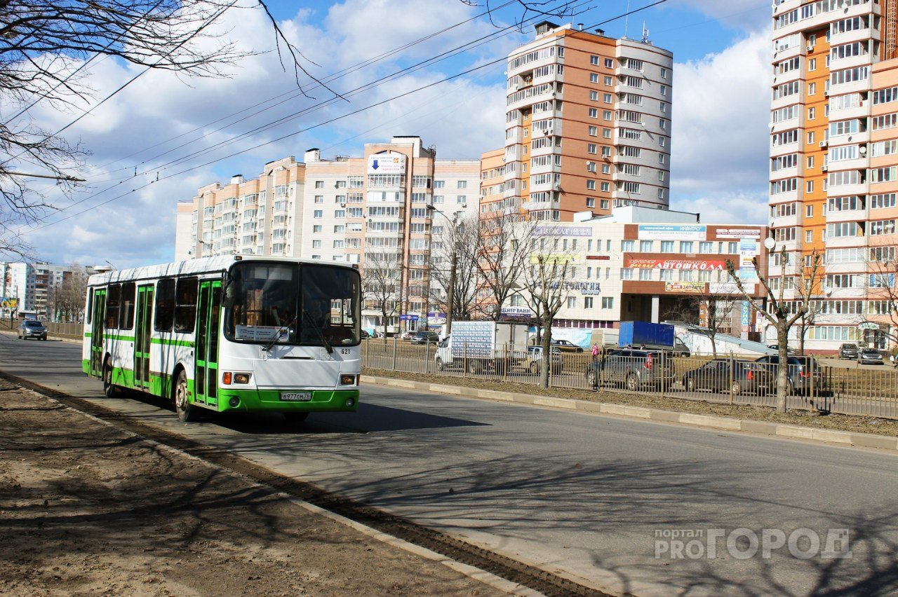 В Ярославле запустят новый автобусный маршрут: расписание