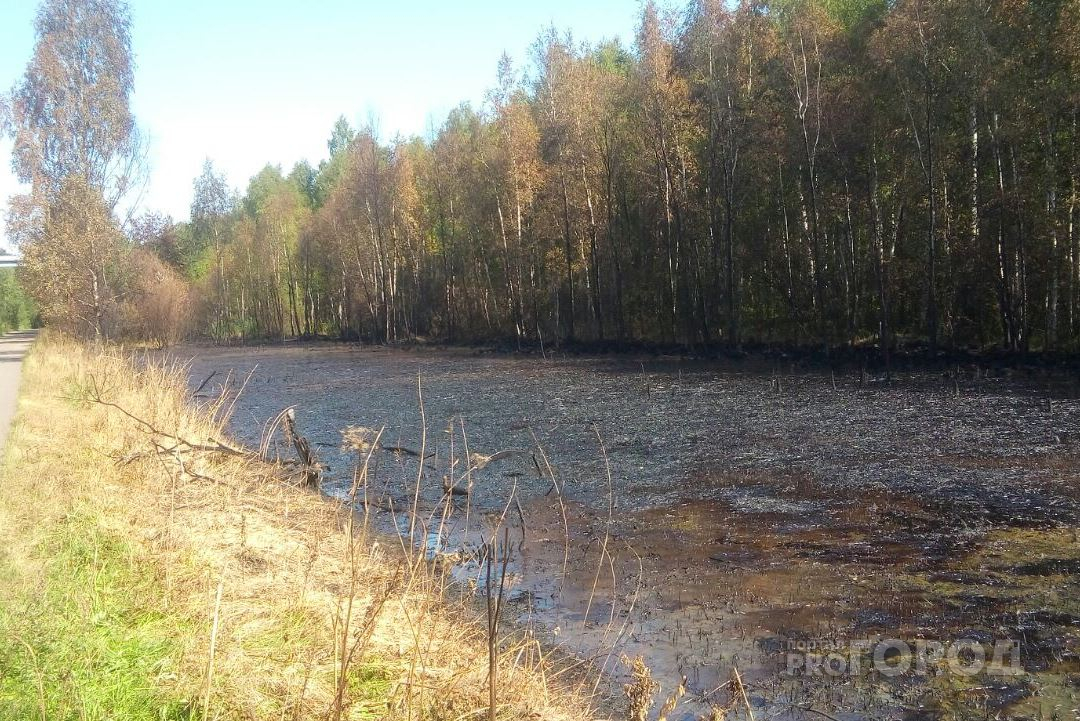 Озеро с нефтью в Ярославле: специалисты рассказали об угрозе загрязнения других водоемов