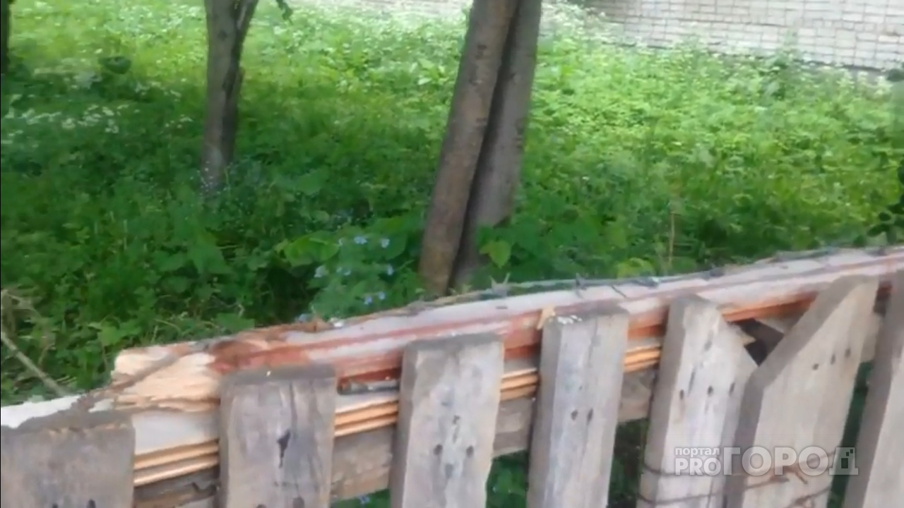 В Ярославле от детей отгородились колючей проволокой. Видео