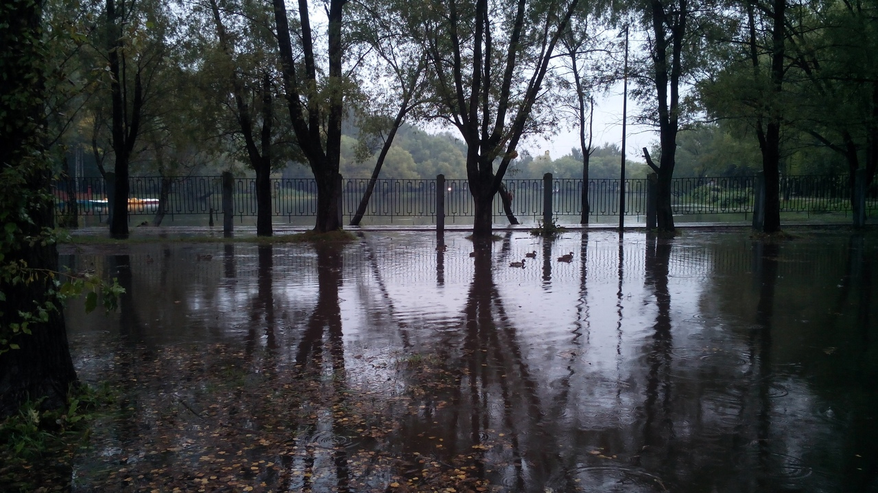 Уткам нравится: в Ярославле затопило парк Нефтяник