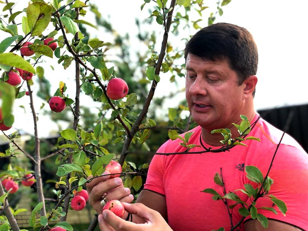 Мэр Ярославля рассказал, куда денет свои яблоки