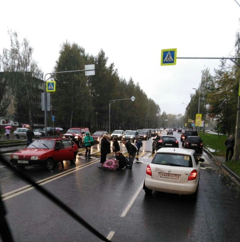 Малышка с зонтиком на мокром асфальте: в Ярославле на "зебре" сбили ребенка