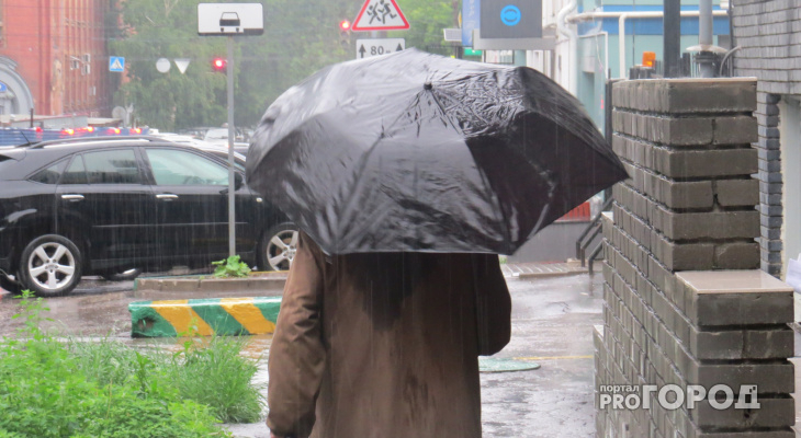 Город зальет: когда в Ярославле начнутся проливные дожди