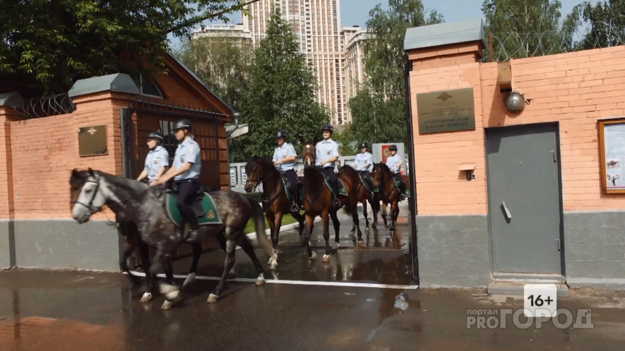 В Ярославле появится парковка для лошадей: а людей будут штрафовать