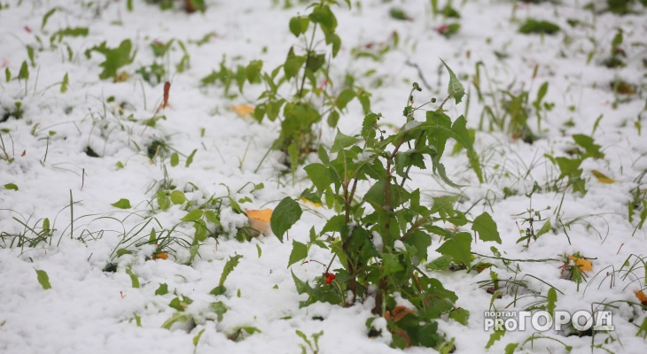 Снег запорошит город: в Ярославль грядет похолодание