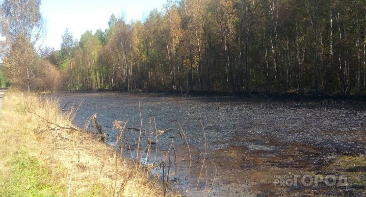 Испорчены вода и почва: в Ярославле нашли причину загрязнения озера нефтью