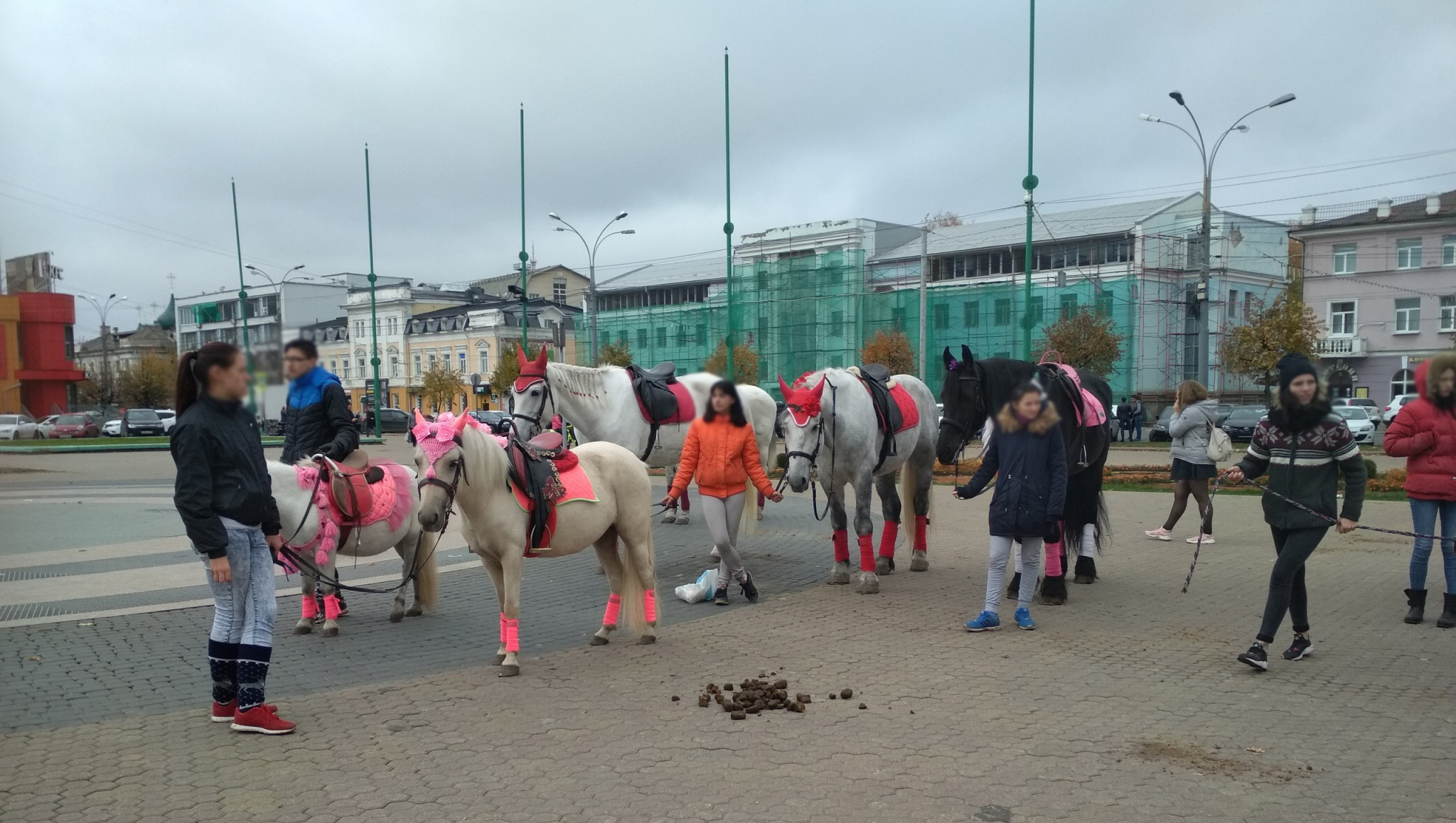 Пони вне закона: в центре Ярославля катают на лошадях