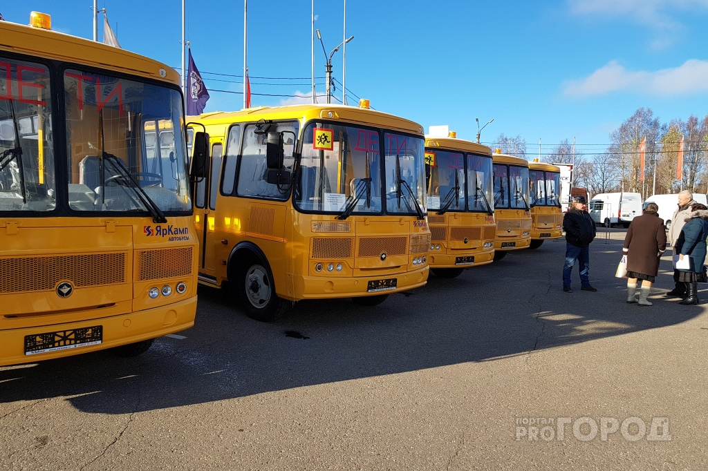 Школьникам Ярославля выделили пять автобусов: какой маршрут