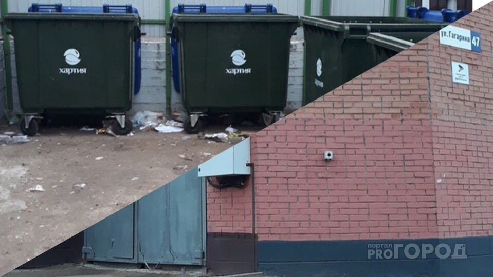 Нас держат за свиней: люди тонут в мусоре в Ярославле