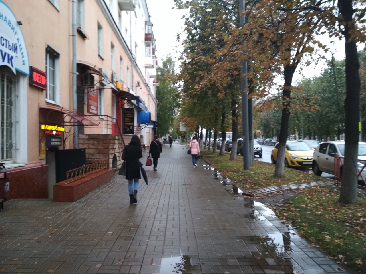 Прабабушкино лето: синоптики обещают аномально теплый ноябрь в Ярославле